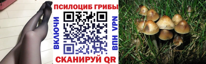 где найти   MEGA вход  Галлюциногенные грибы ЛСД  Певек 